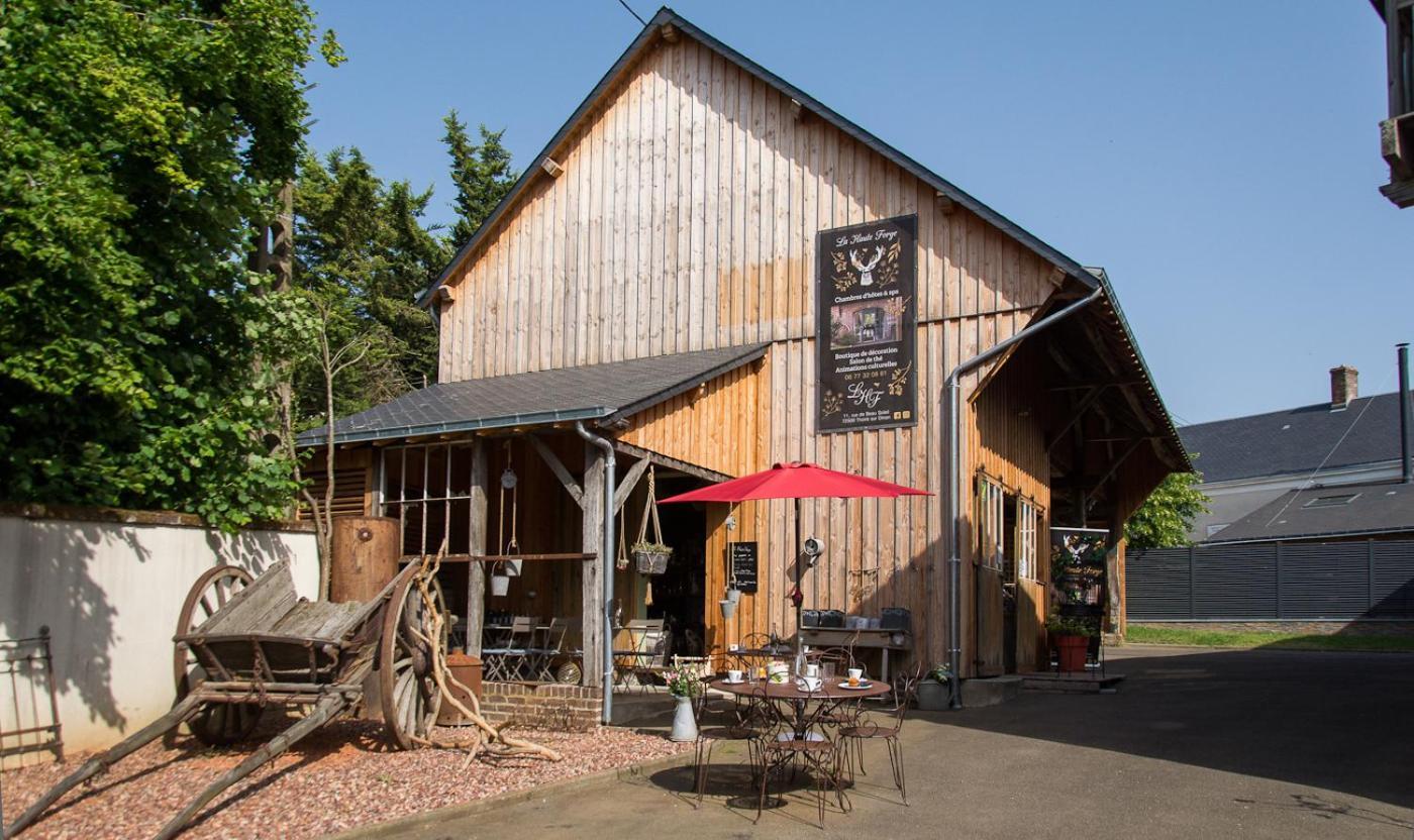 La Haute Forge Maison D'Hotes Thoiré-sur-Dinan الغرفة الصورة